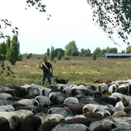 In The Lueneburg Heath *