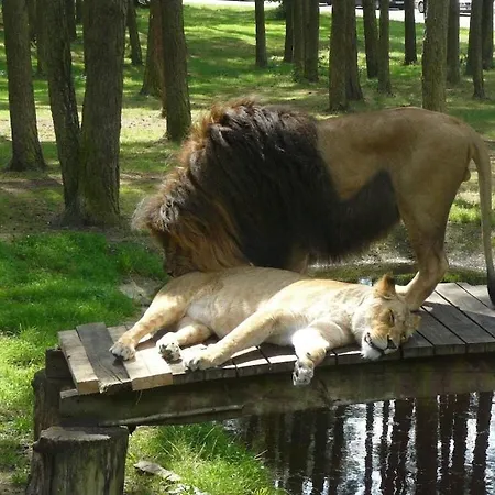 In The Lueneburg Heath بيت للعطل *